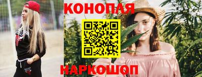 гашик Бийск