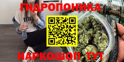 наркотики Кизилюрт