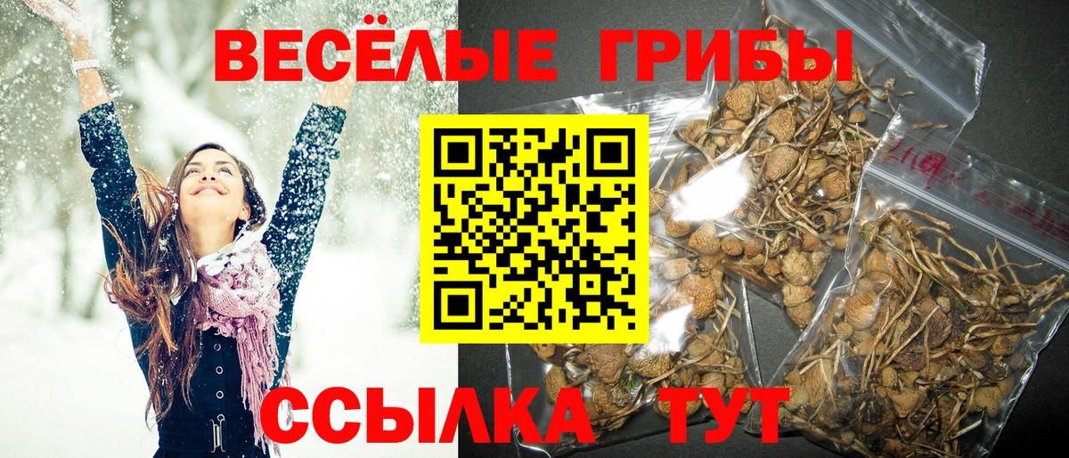 Коломна  Псилоцибиновые грибы мицелий  Вход с VPN  сколько стоит  Галлюциногенные грибы Cubensis 